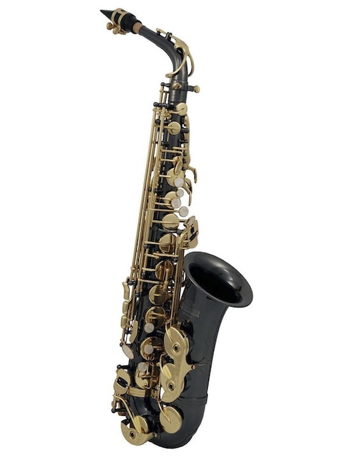 Saxofón Roy Benson AS-202K