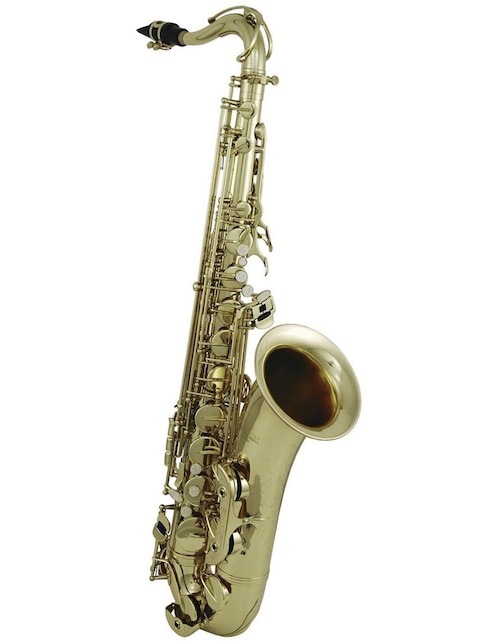 Saxofón Roy Benson TS-302