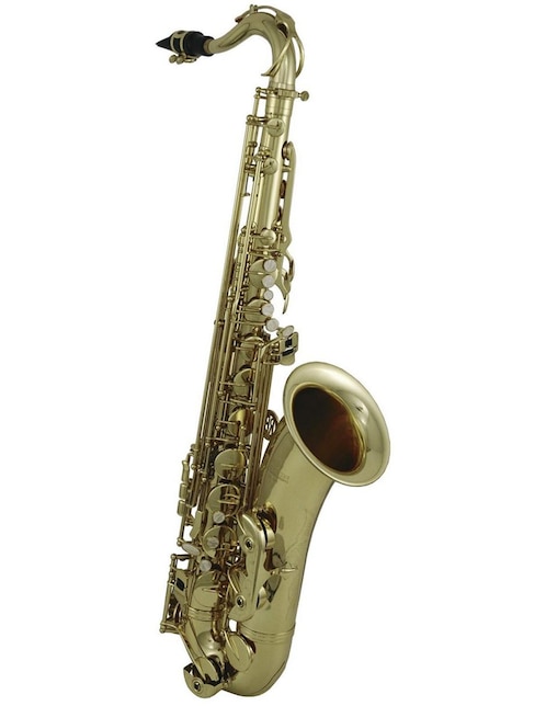 Saxofón Roy Benson TS-202