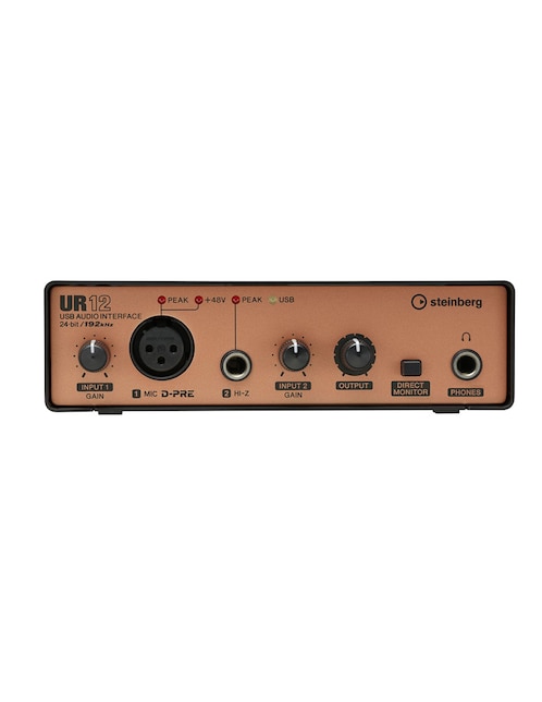 Interfaz de Audio Steinberg UR12B