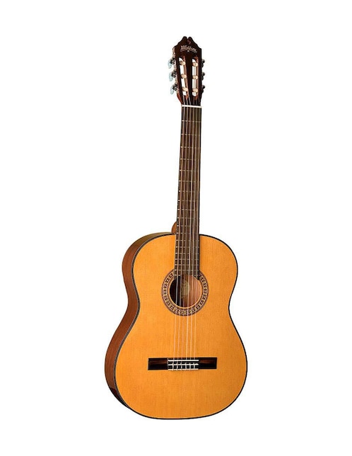 Guitarra acústica Washburn C40