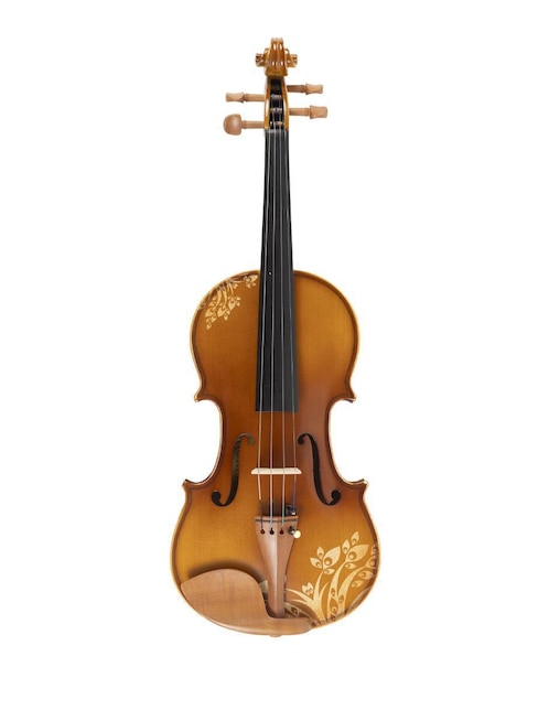 Violín acústico