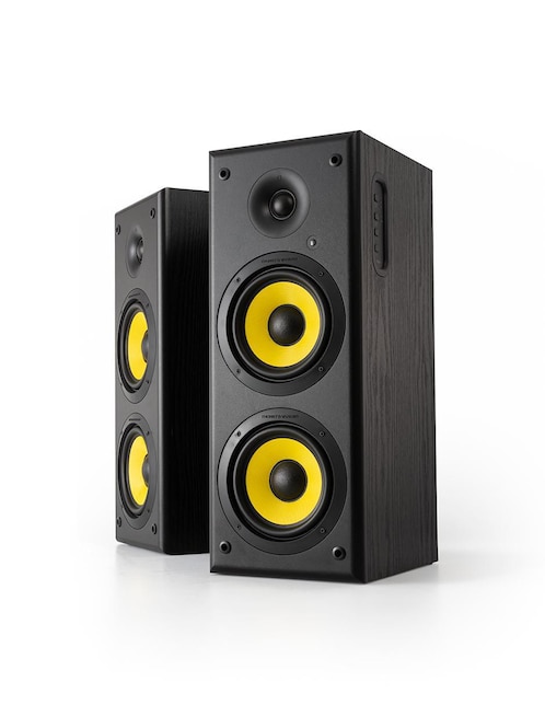 Monitor de estudio Hoch 1