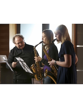 Saxofón Alto Eb Yamaha YAS26