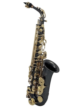 Imagen de producto Saxofón Roy Benson AS-202K