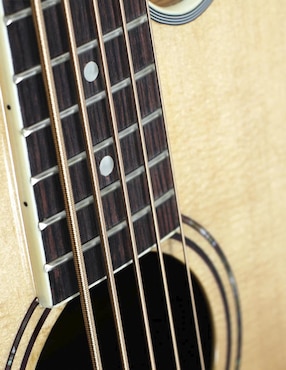 Bajo Electroacústico de 5 Cuerdas La Sevillana B-1005CEQ