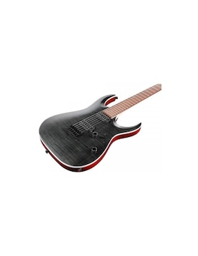 Guitarra eléctrica Ibanez rga42fm-tgf