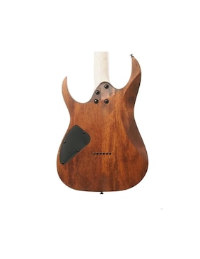 Guitarra eléctrica Ibanez rg421-mol