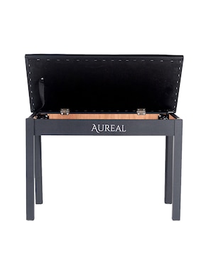 Banco para Musico Aureal