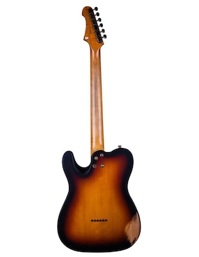 Guitarra eléctrica Jet Guitars JT350RELISUR