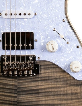 Guitarra eléctrica Jet Guitars JS450