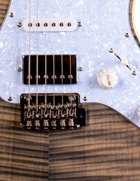 Guitarra eléctrica Jet Guitars JS450