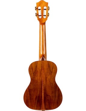 Ukulele Flight
