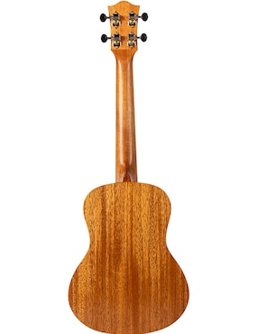 Ukulele Flight