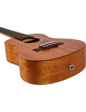 Ukulele Flight