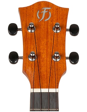 Ukulele Flight