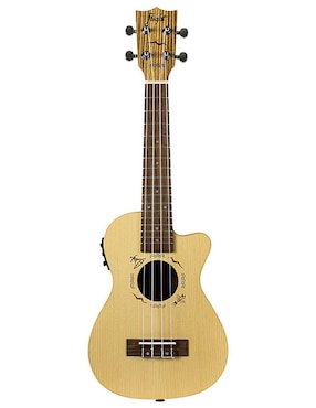 Ukulele Flight