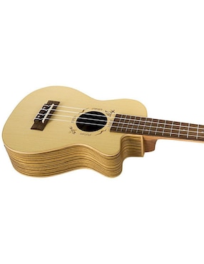 Ukulele Flight