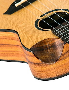 Ukulele Flight