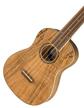 Ukulele Fender