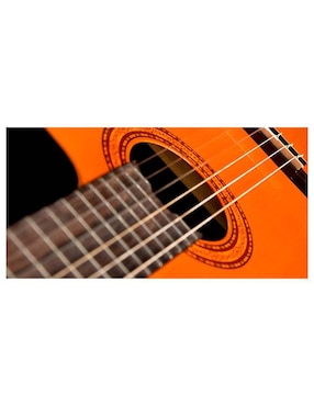 Guitarra clásica Washburn C5CE