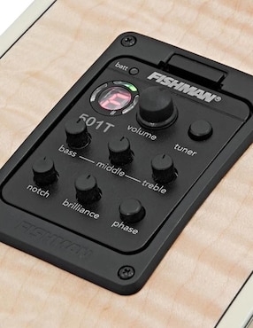 Guitarra electroacústica Washburn J40SCE