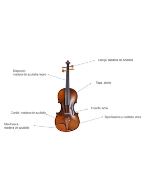 Violin Ground Music