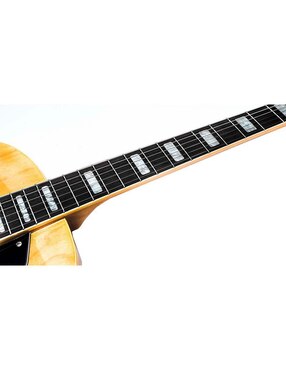 Guitarra eléctrica Mars Arch Top90