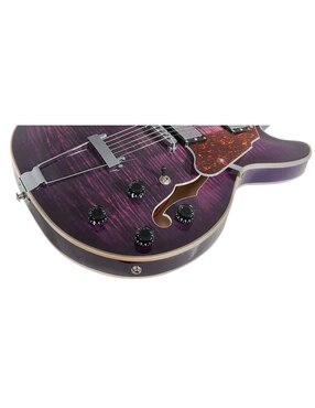 Guitarra eléctrica Mars HB335CL