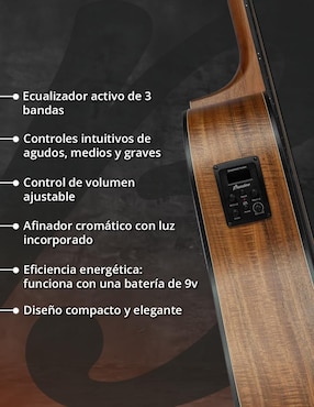 Guitarra electroacústica Bamboo ga-4012-koa-q