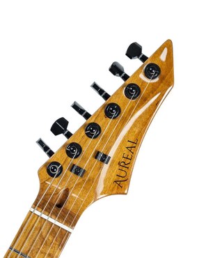 Guitarra eléctrica Aureal JOM-TE PK