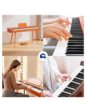 Piano Bluelander CBHH-0767 88 teclas