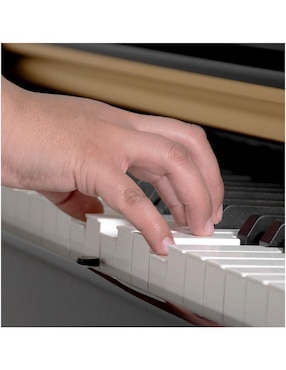 Piano Audiotek mkz-pianodig88ng 88 teclas