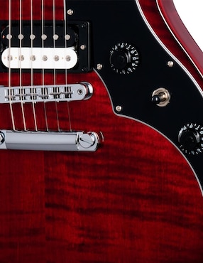 Guitarra eléctrica Gibson Victory Wine Red Burst