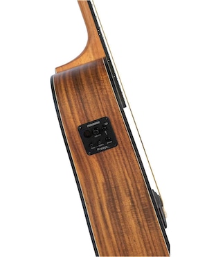 Guitarra electroacústica Bamboo GA-4012-PRO-Q