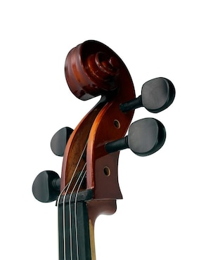 Cello acústico La Sevillana