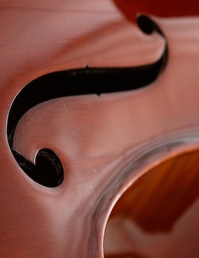 Cello acústico La Sevillana