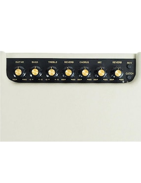 Amplificador Aureal de 110 V