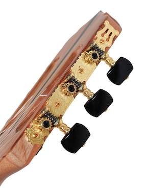 Guitarra acústica studio Kustani