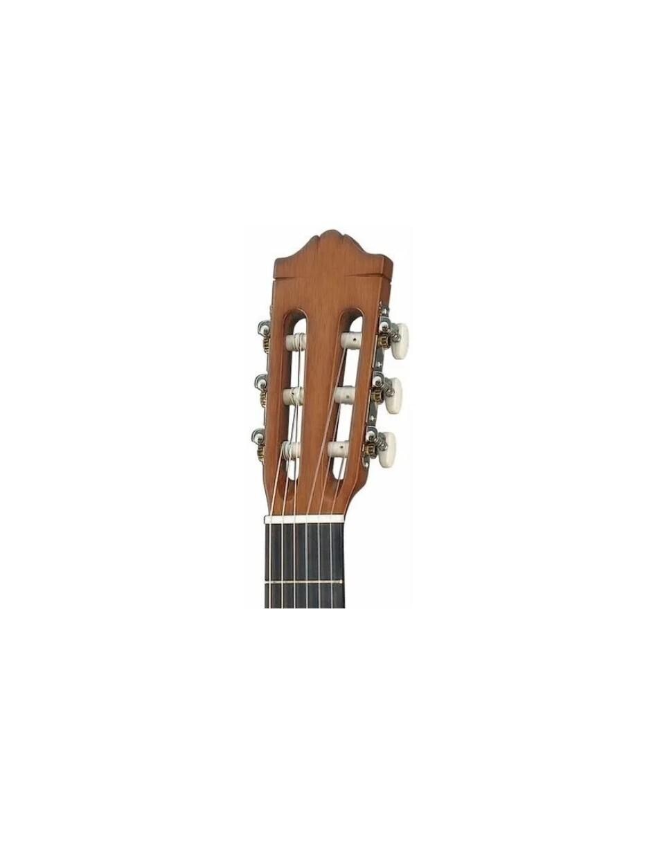 Guitarra acústica clásica c40m/02 4