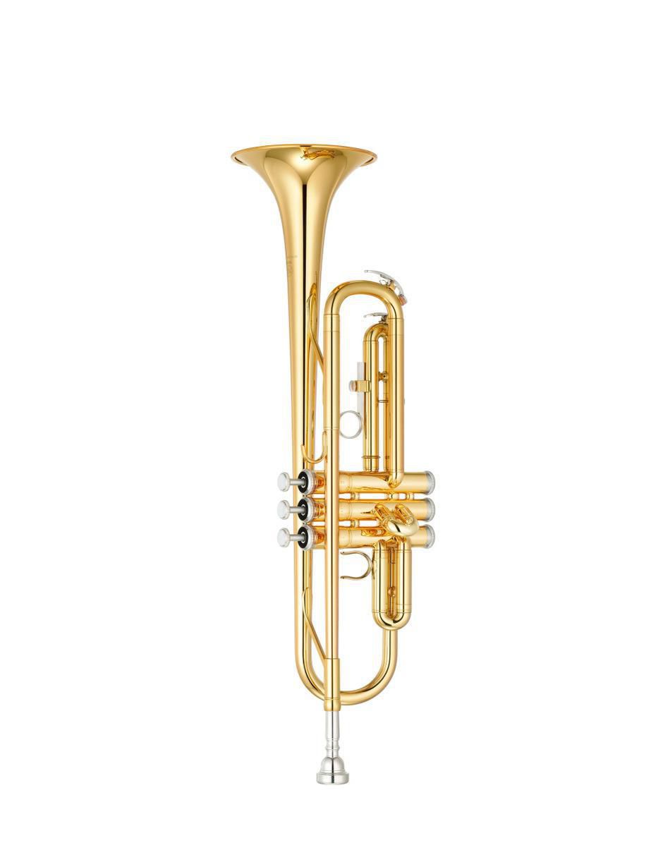 Trompeta natural de metal 3