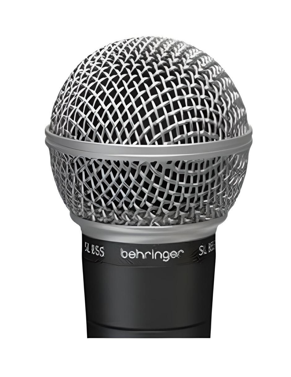 Micrófono Semi Profesional Alámbrico SL85SS 4