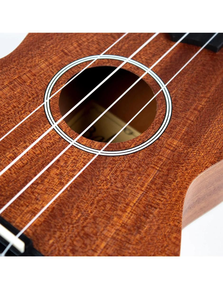 Ukulele Waikiki 3