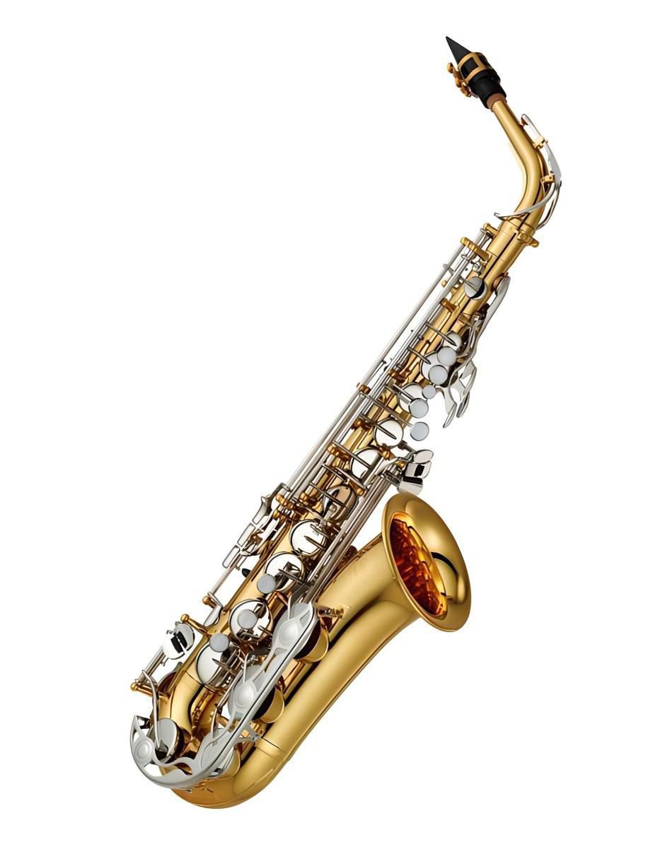 Saxofón alto de metal 3