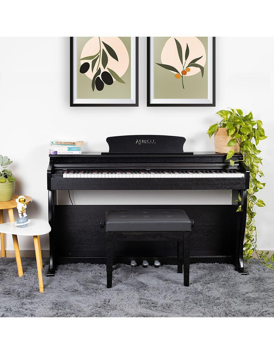 Piano B-91BLK 88 teclas 5