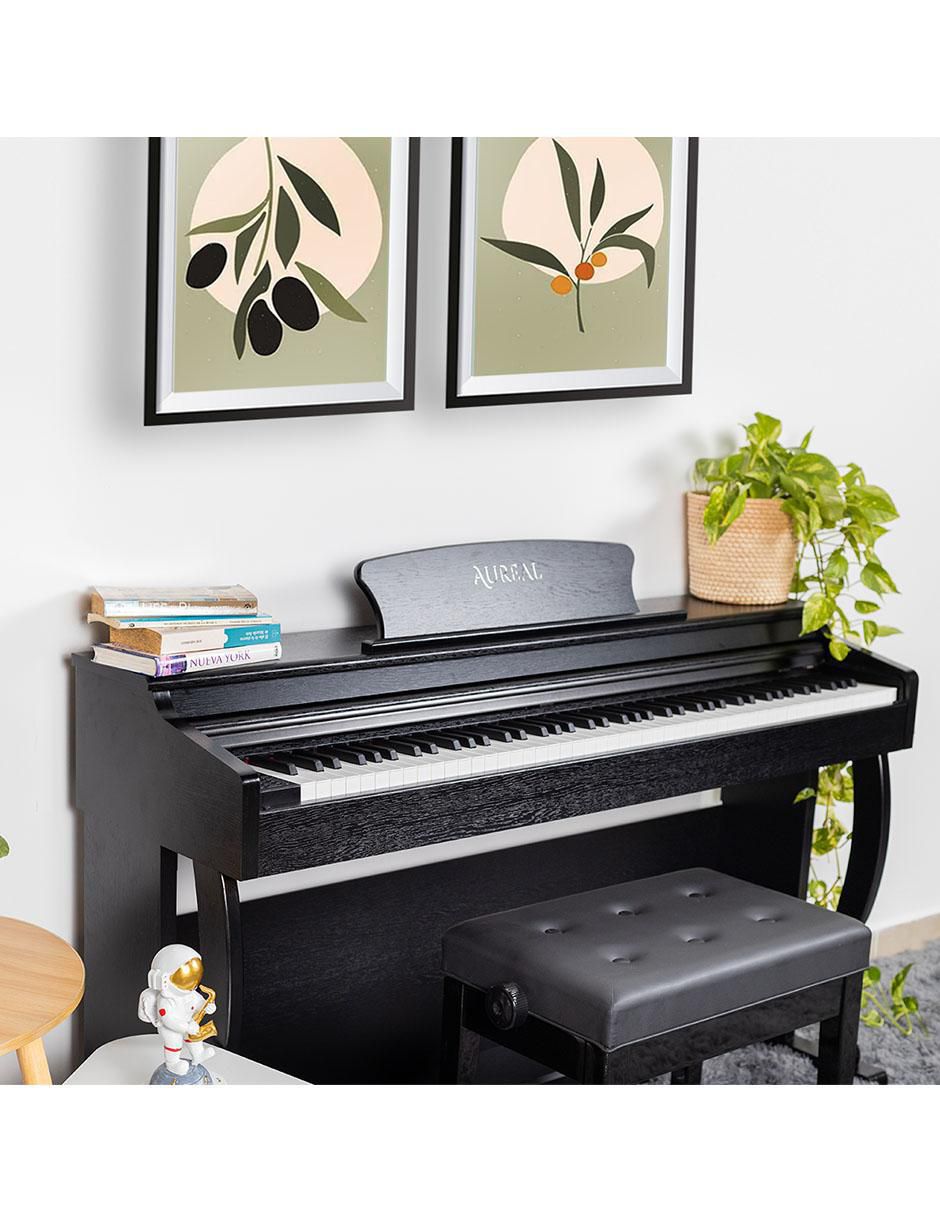 Piano B-91BLK 88 teclas 6