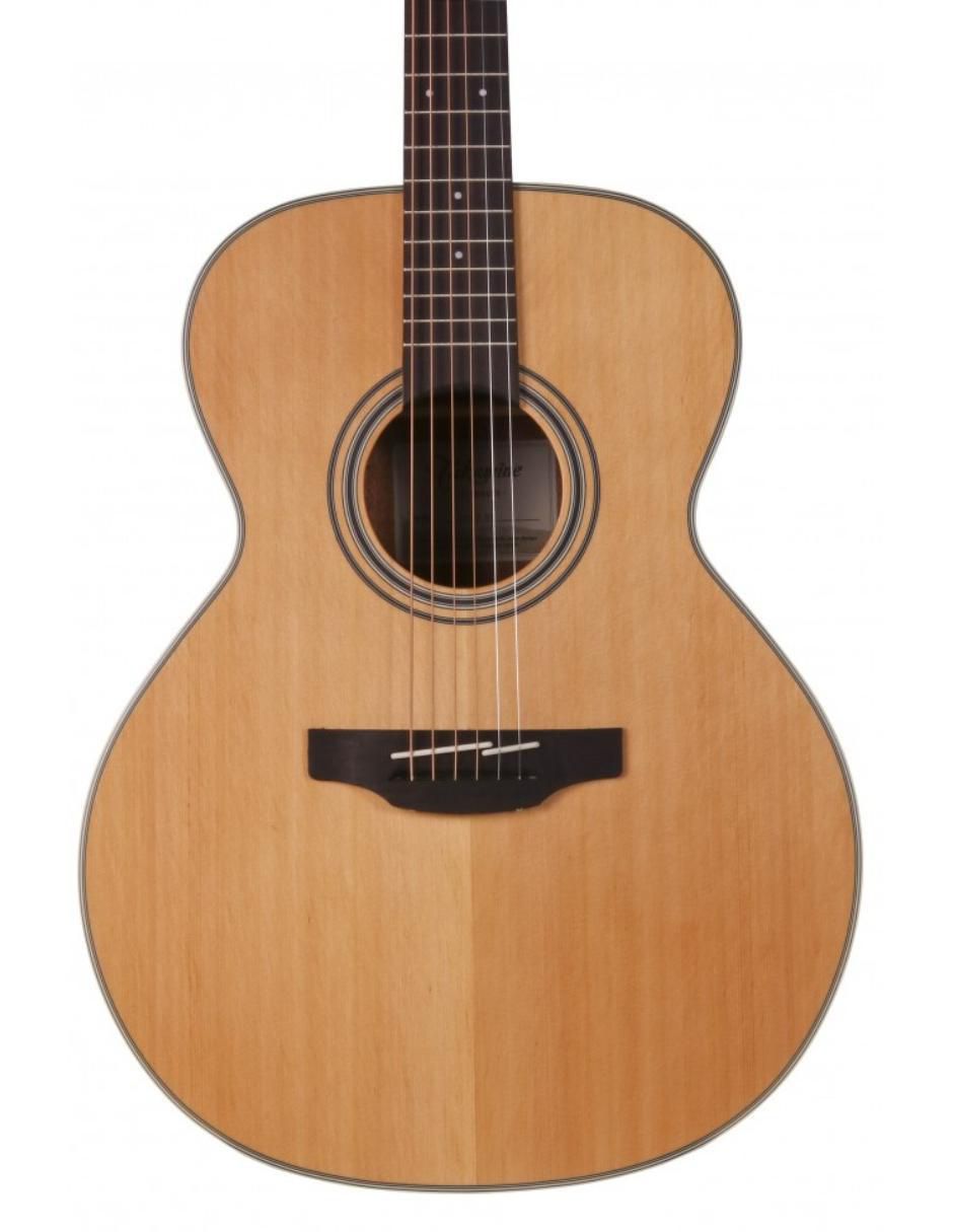 Guitarra acústica orquesta gn20 ns 2