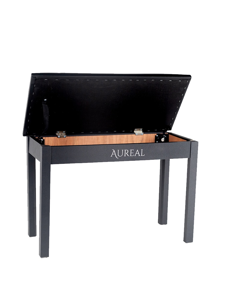 Banco para Musico 5