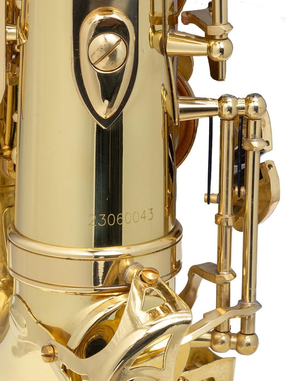 Saxofón Alto 5