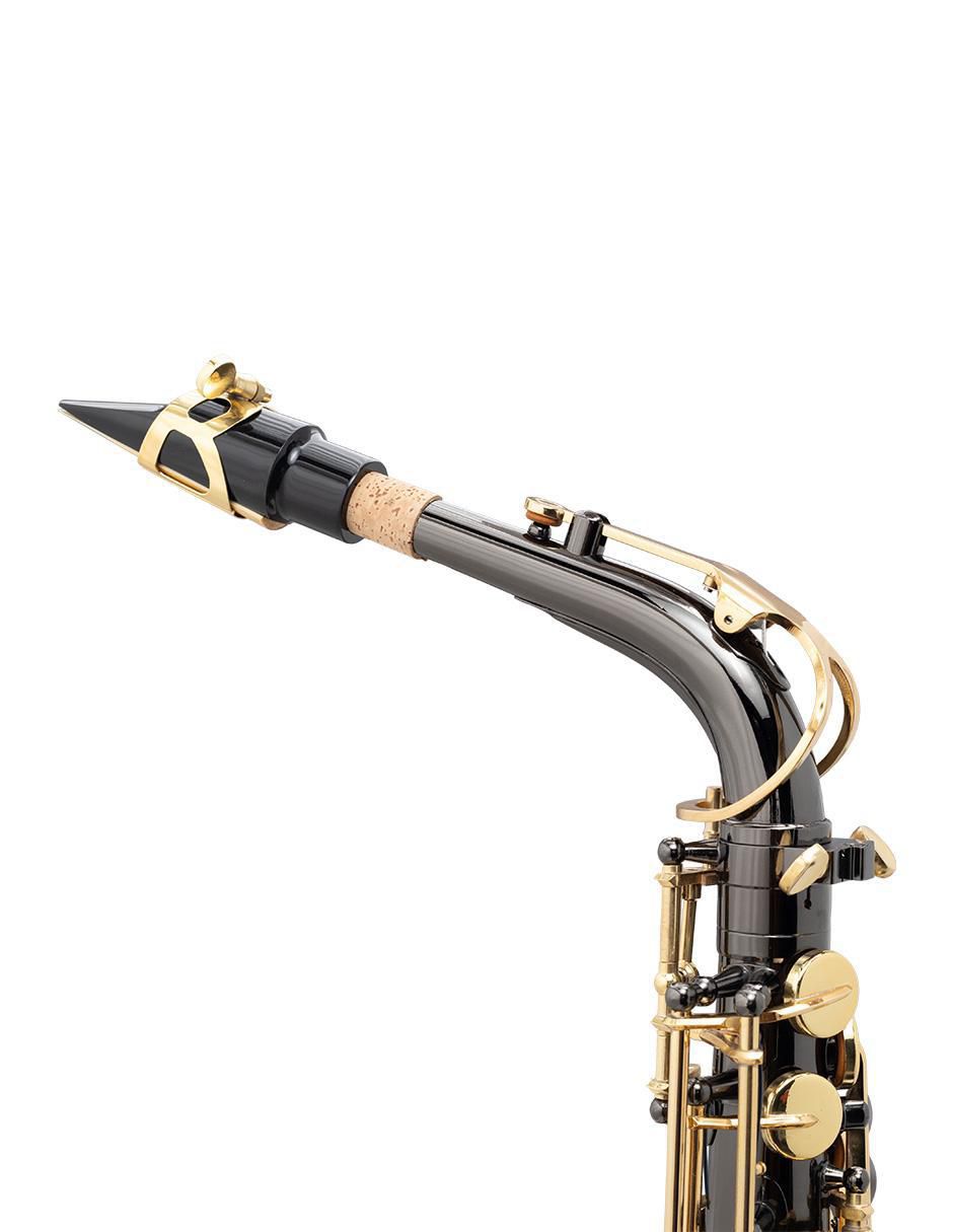 Saxofón Alto 2